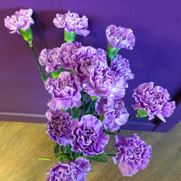 CarnationsLilac Thanks a Bunch Florist